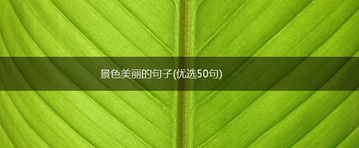 景色美丽的句子(优选50句),第1张