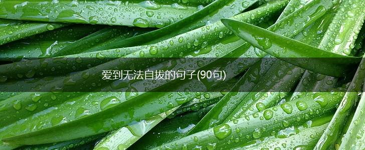 爱到无法自拔的句子(90句),第1张
