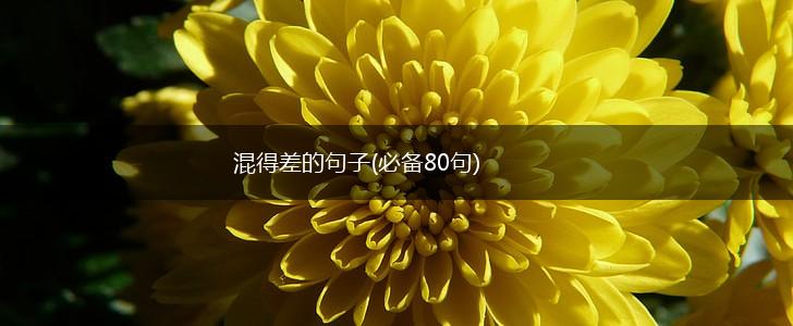 混得差的句子(必备80句),第1张