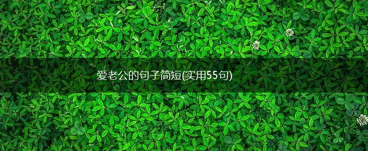 爱老公的句子简短(实用55句),第1张