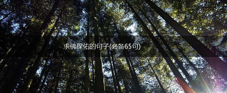 求佛保佑的句子(必备65句),第1张