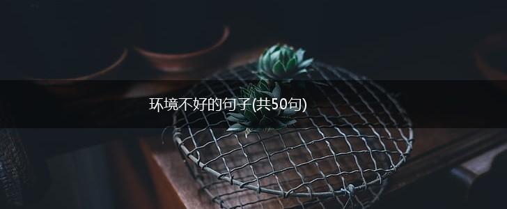 环境不好的句子(共50句),第1张