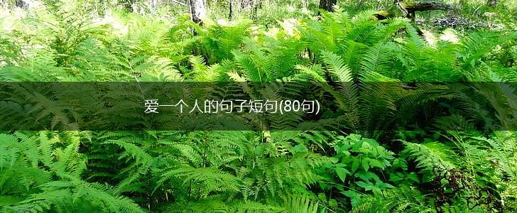 爱一个人的句子短句(80句),第1张
