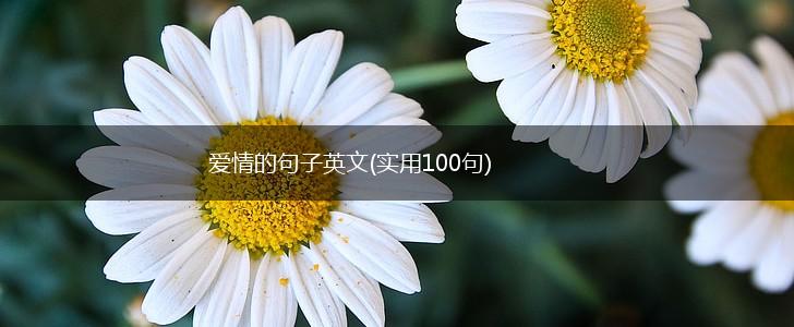 爱情的句子英文(实用100句),第1张