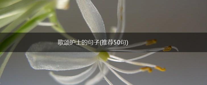 歌颂护士的句子(推荐50句),第1张