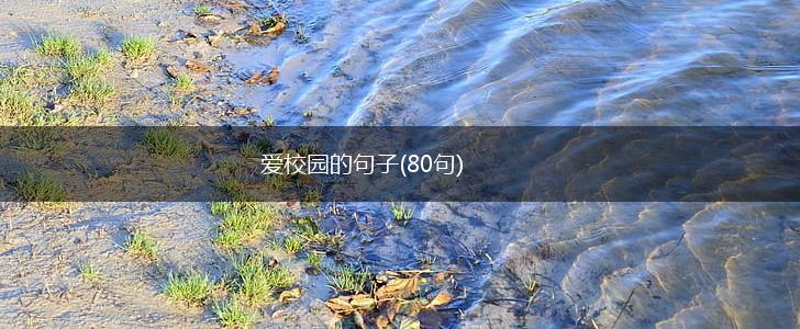 爱校园的句子(80句),第1张