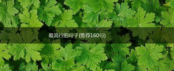 最流行的句子(推荐160句),第1张