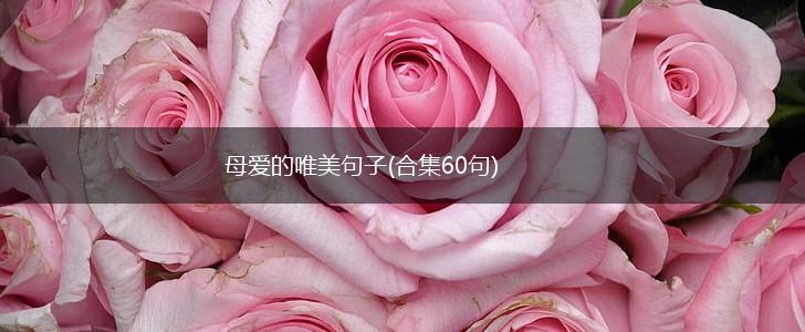母爱的唯美句子(合集60句),第1张