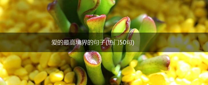 爱的最高境界的句子(热门50句),第1张