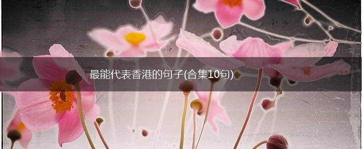 最能代表香港的句子(合集10句),第1张