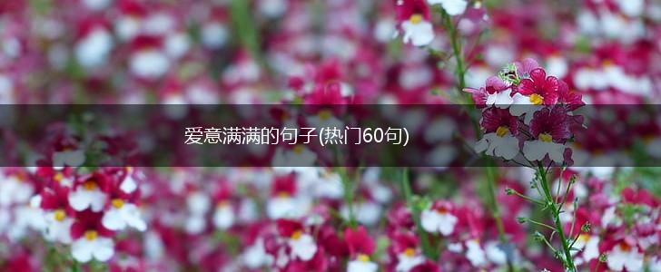 爱意满满的句子(热门60句),第1张