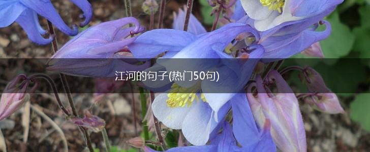 江河的句子(热门50句),第1张