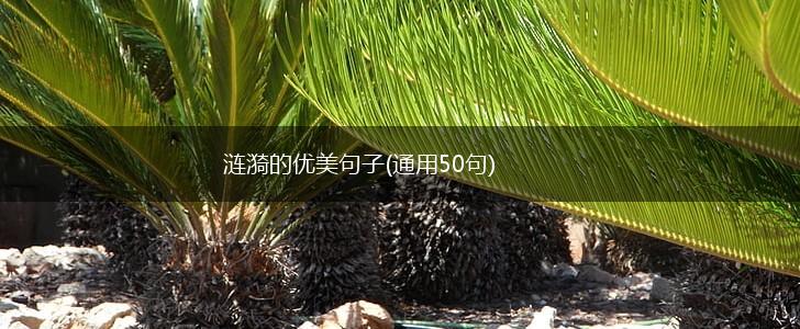 涟漪的优美句子(通用50句),第1张