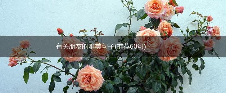 有关朋友的唯美句子(推荐60句),第1张
