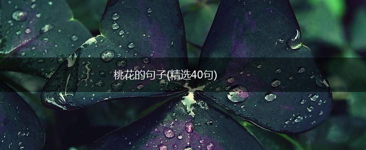 桃花的句子(精选40句),第1张