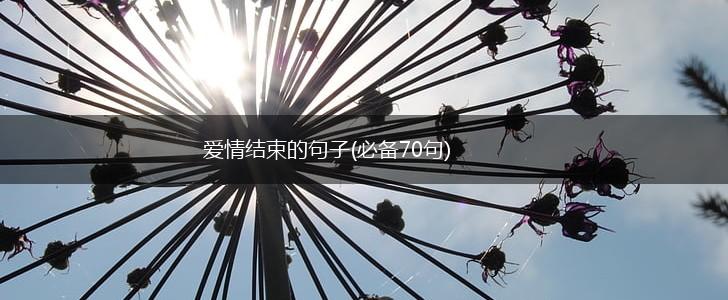 爱情结束的句子(必备70句),第1张