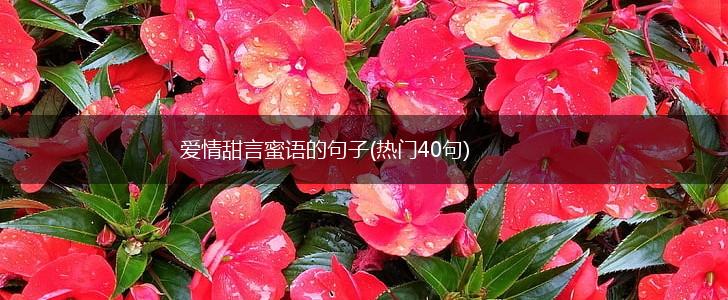 爱情甜言蜜语的句子(热门40句),第1张