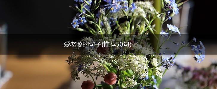爱老婆的句子(推荐50句),第1张