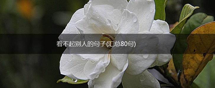 看不起别人的句子(汇总80句),第1张