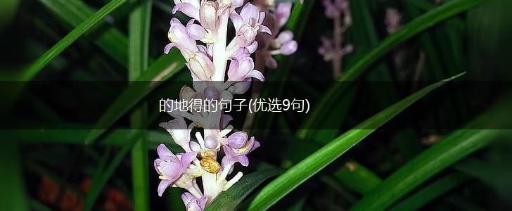 的地得的句子(优选9句),第1张