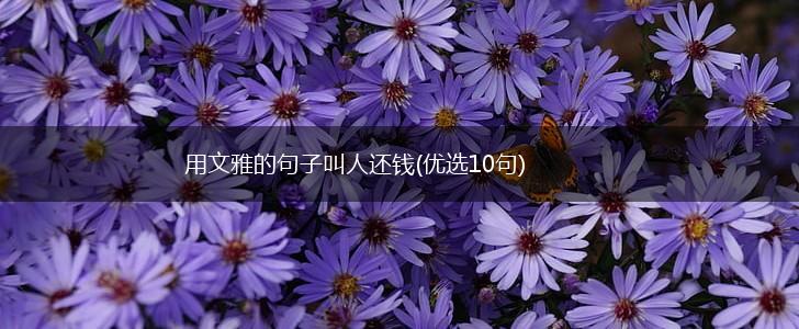 用文雅的句子叫人还钱(优选10句),第1张