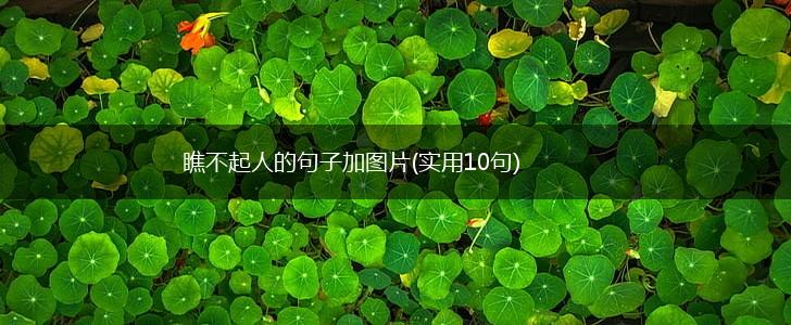 瞧不起人的句子加图片(实用10句),第1张