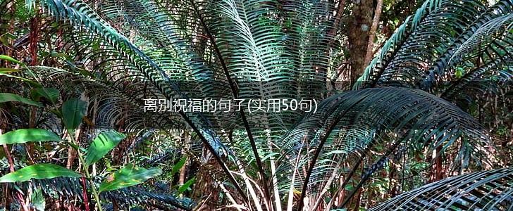 离别祝福的句子(实用50句),第1张