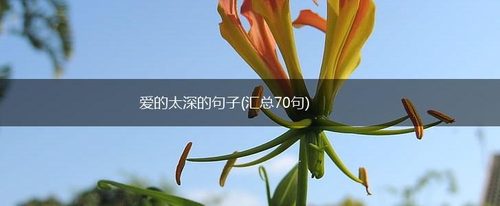 爱的太深的句子(汇总70句),第1张