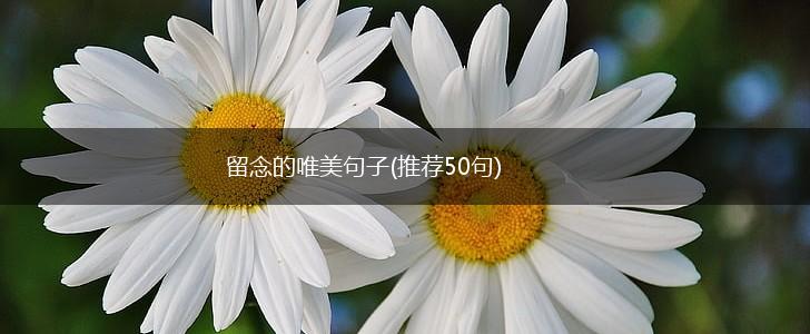 留念的唯美句子(推荐50句),第1张