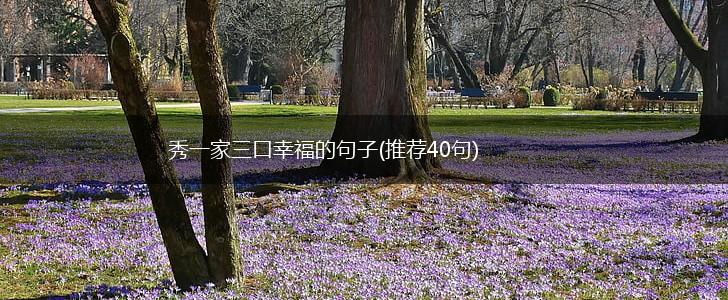 秀一家三口幸福的句子(推荐40句),第1张