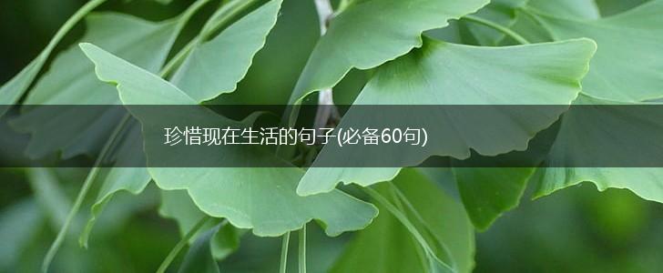 珍惜现在生活的句子(必备60句),第1张