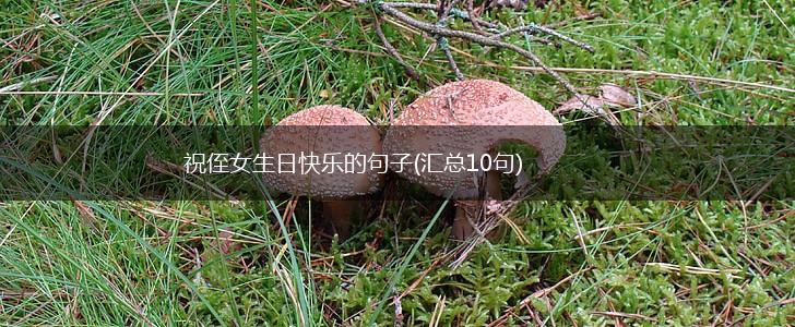 祝侄女生日快乐的句子(汇总10句),第1张