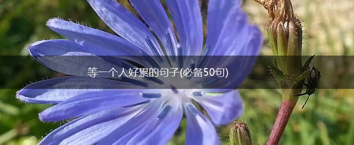 等一个人好累的句子(必备50句),第1张