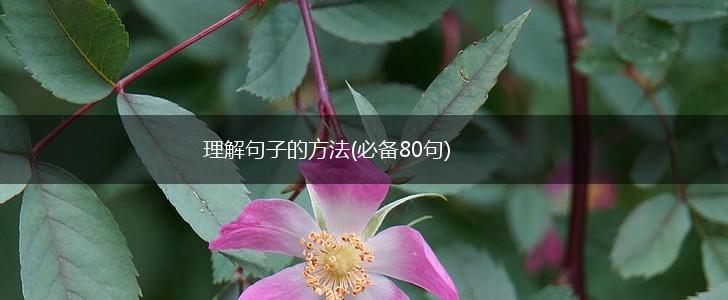 理解句子的方法(必备80句),第1张