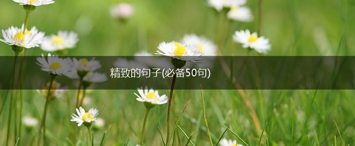 精致的句子(必备50句),第1张
