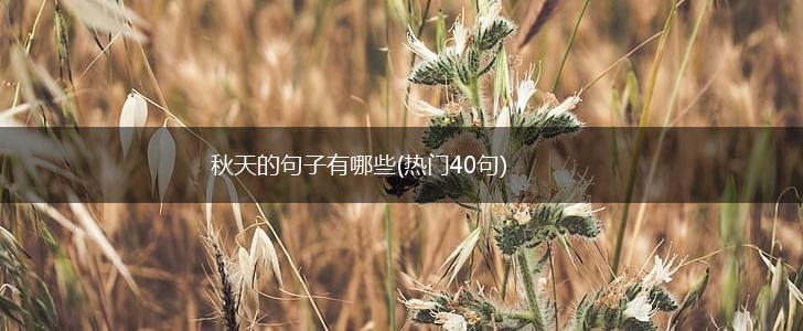秋天的句子有哪些(热门40句),第1张