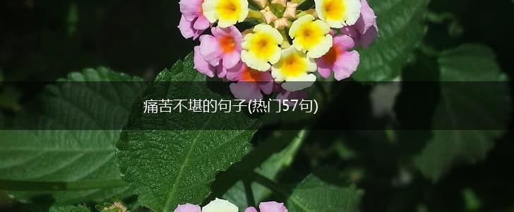 痛苦不堪的句子(热门57句),第1张