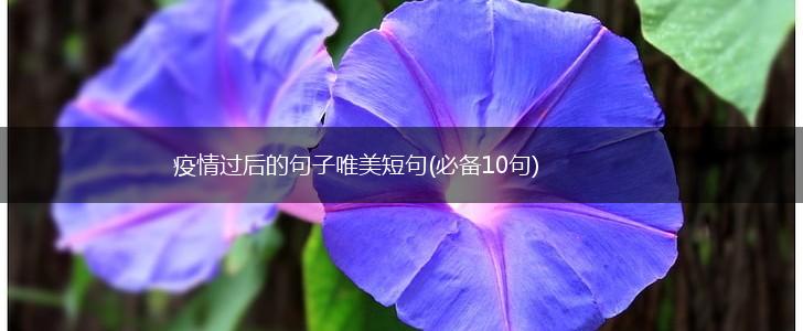 疫情过后的句子唯美短句(必备10句),第1张