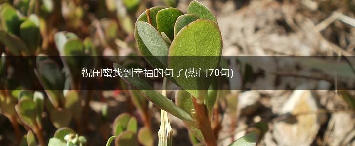 祝闺蜜找到幸福的句子(热门70句),第1张