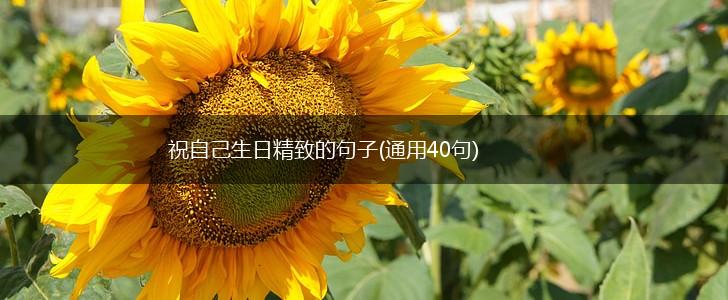 祝自己生日精致的句子(通用40句),第1张