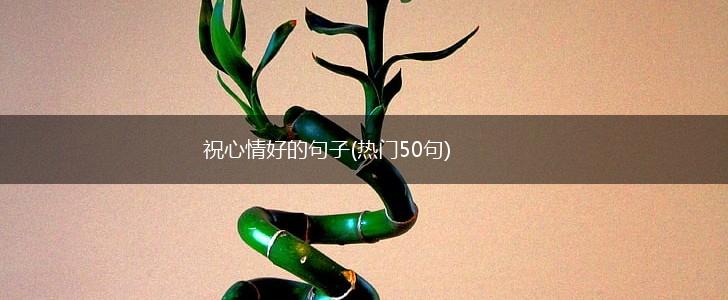 祝心情好的句子(热门50句),第1张