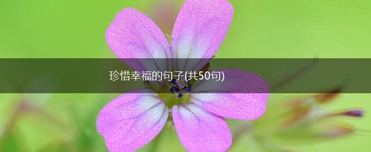 珍惜幸福的句子(共50句),第1张