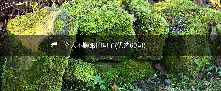 看一个人不顺眼的句子(优选60句),第1张