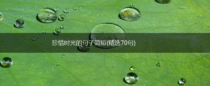 珍惜时光的句子简短(精选70句),第1张