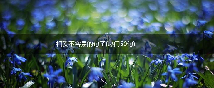相爱不容易的句子(热门50句),第1张