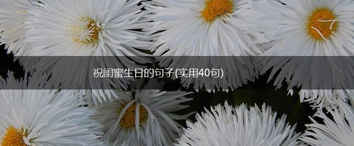 祝闺蜜生日的句子(实用40句),第1张