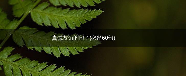 真诚友谊的句子(必备60句),第1张