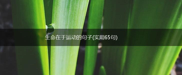 生命在于运动的句子(实用65句),第1张