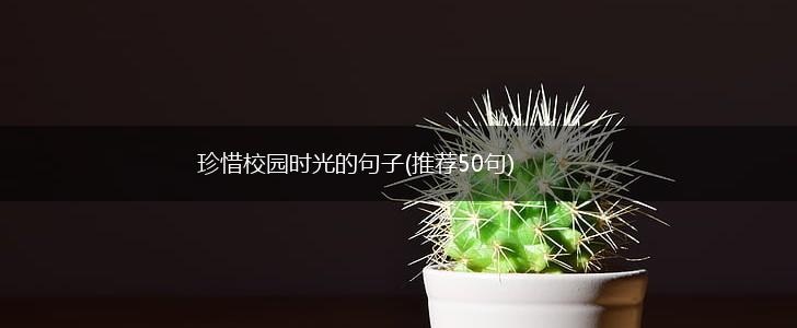 珍惜校园时光的句子(推荐50句),第1张