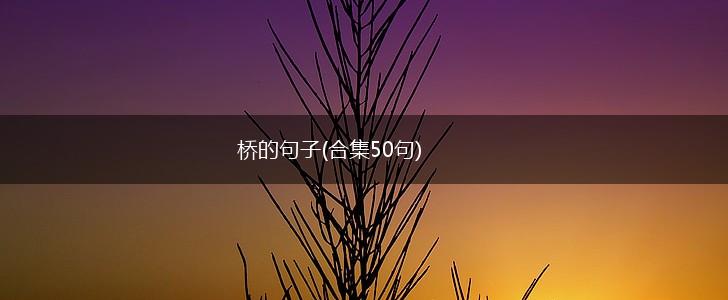 桥的句子(合集50句),第1张